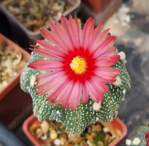 08E441B1-9887-4509-9F6E-2211D62B7AC6