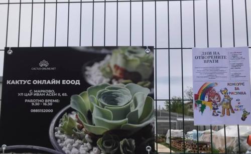 176413508 10159199547127720 2464311309550767099 n