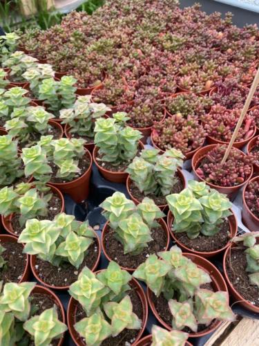 176620011 2842602016069345 9026442433216044941 n