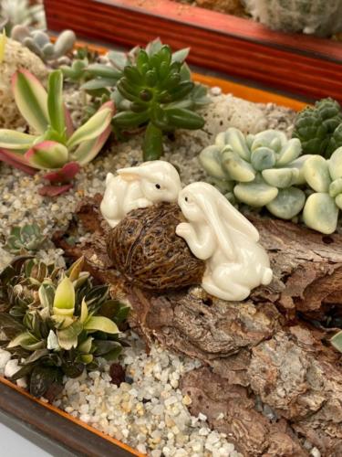 176830651 2843312655998281 8544505791933886257 n