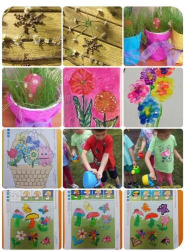 177033925 10159201943737720 8294573576768234977 n (1)