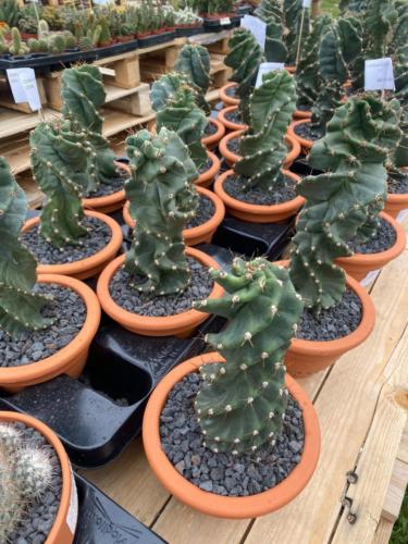 177946805 2842601839402696 5934283357757201546 n