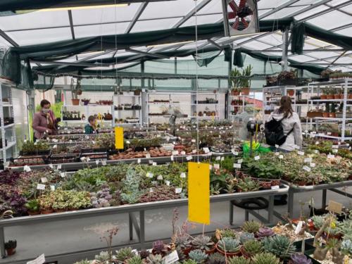 178000478 2842656776063869 120078731499729146 n