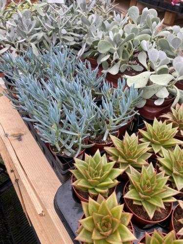 178103615 2842602039402676 6802010856635744150 n