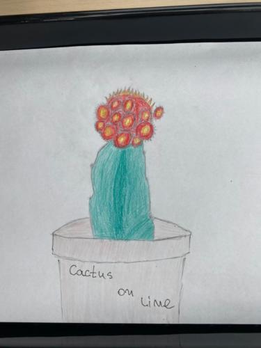 178133641 2842601632736050 5604872087085830479 n