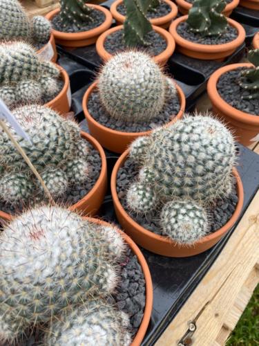 178168284 2842602229402657 7656305918108885809 n