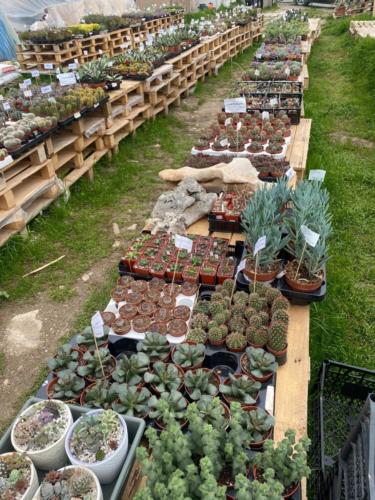 178172285 2842602389402641 763989816710261675 n