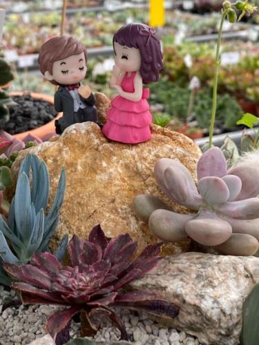 178441850 2843312522664961 3383428492807955204 n