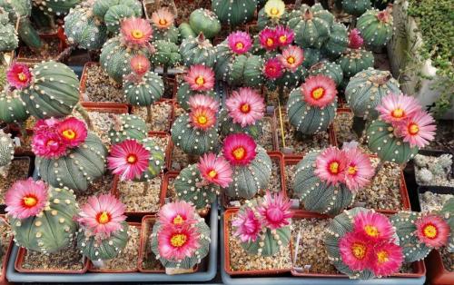 1D181B41-BEB5-470C-B392-36774CE6C18F