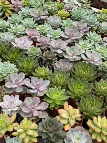 206364168 2890517137944499 9096393654196425712 n