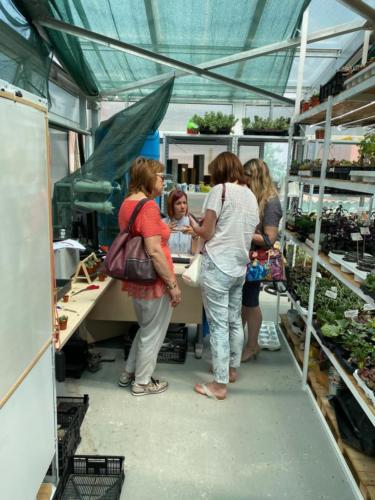 206900729 2890517101277836 5450995059025546896 n