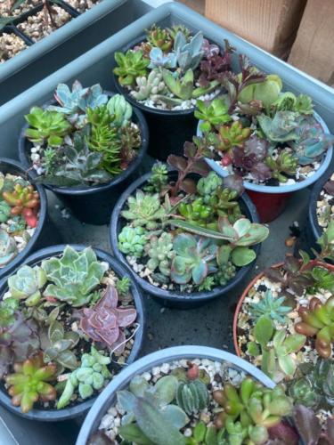 209340804 2890113744651505 4876296875978513784 n