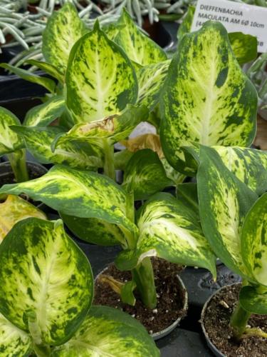 231684238 2931372307192315 6774586975379188133 n