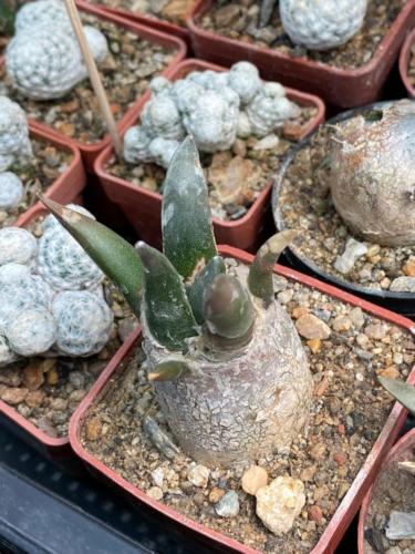 236734359 2931372943858918 9006174873494470360 n