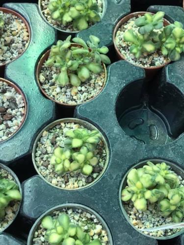 240340980 170488081855298 5018969320540064156 n