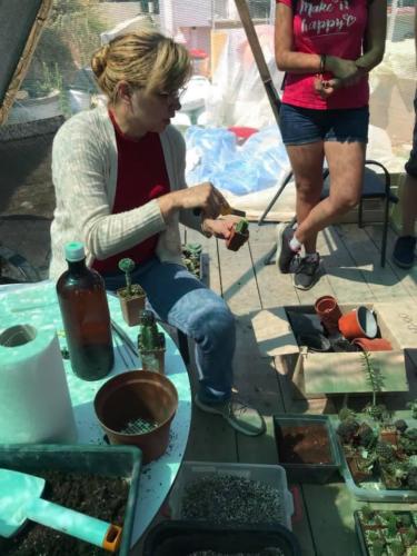 240349264 10159452163947720 1008398768738300627 n