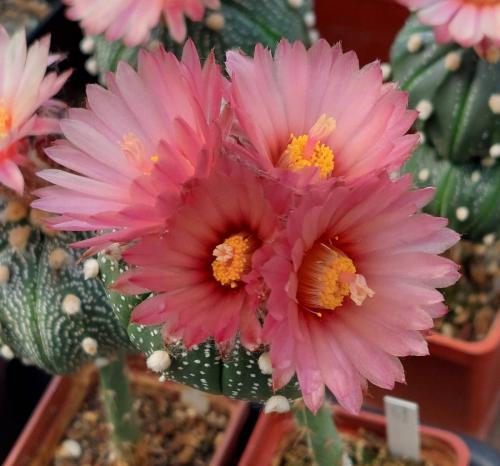 6F40CBB0-6AD3-4642-B010-832BDE5AA871