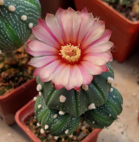 E27606D1-D0F4-42C7-AAC2-114FBF5DAA25