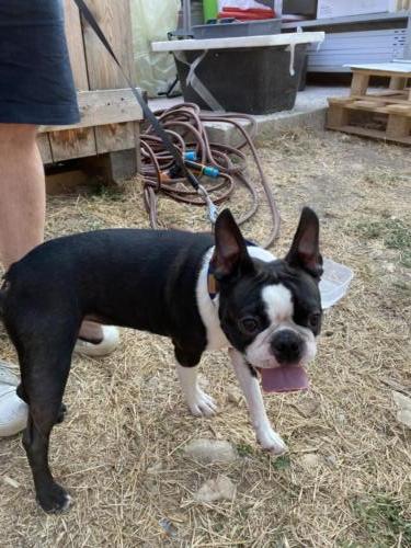 IMG 8594 – копія